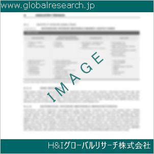 グローバルリサーチ調査資料のイメージ